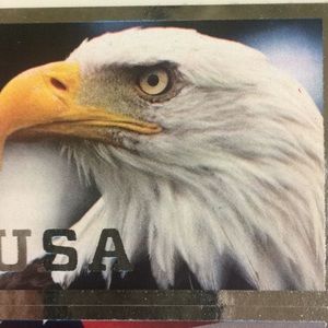 Meet your Posher, Todd